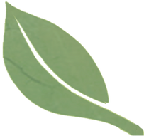 Leaves Divider