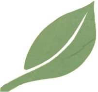 Leaves Divider