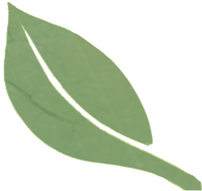 Leaves Divider