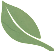 Leaves Divider