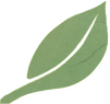 Leaves Divider